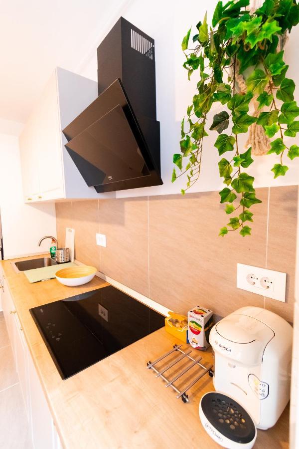 Brown Bear Apt. Boho Style Bedroom W/ City View & Free Parking Braşov Exteriör bild