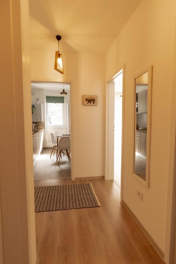 Brown Bear Apt. Boho Style Bedroom W/ City View & Free Parking Braşov Exteriör bild